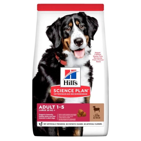 Hill's Sience Plan Large Breed Adult Lamb & Rice