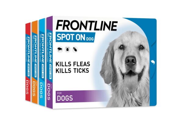 „Frontline” lašai šunims nuo erkių ir blusų