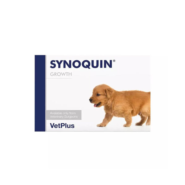 Synoquin EFA Growth Puppy N60