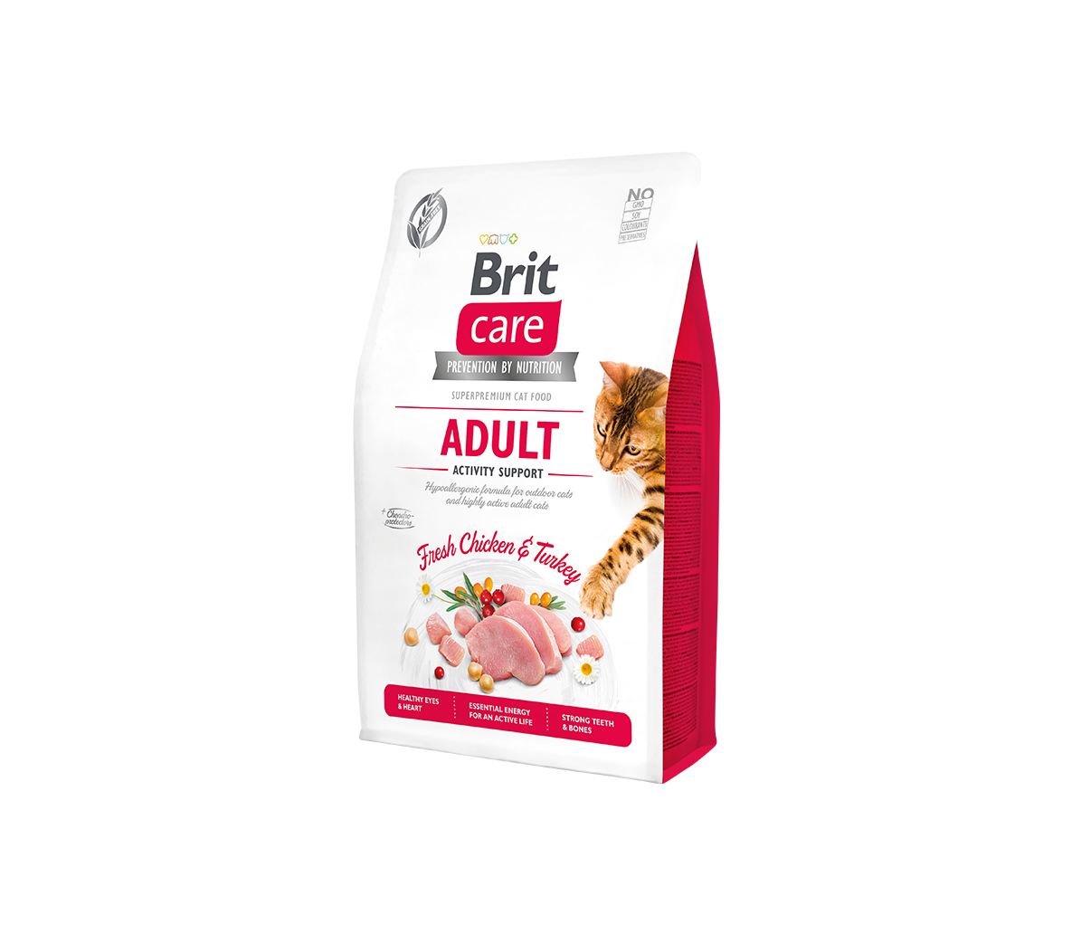 bc-cat-adult-active.png