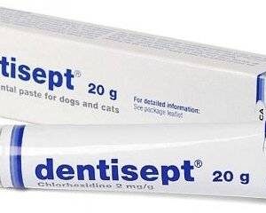 „Dentisept“ lipni dantų pasta šunims ir katėms 20g.