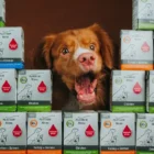 Puppy konservas šuniukams su vištiena